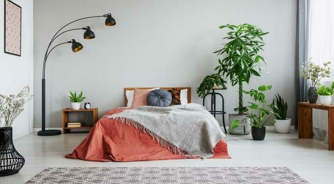 stylowa sypialnia trendy rośliny do sypialni