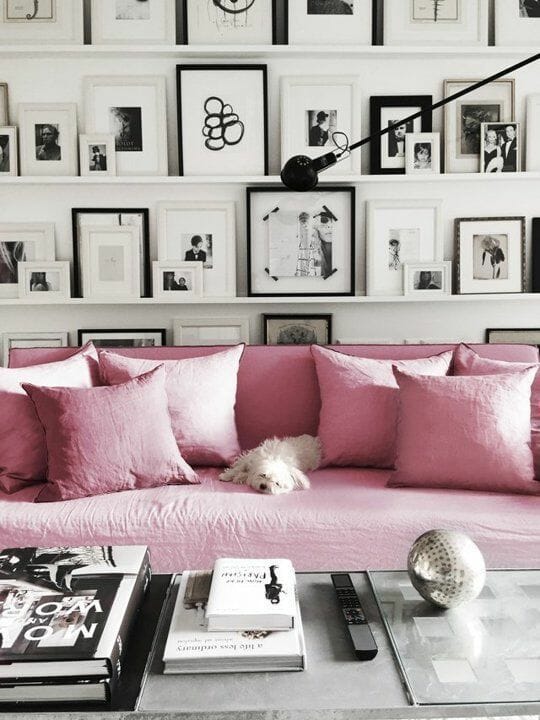 salon z czarno białymi ramkami ze zdjęciami różową kanapą i białym psem