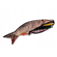 Piórnik w kształcie ryby